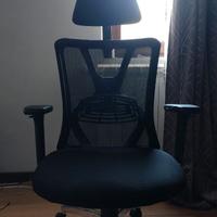 sedia a la spezia e provincia