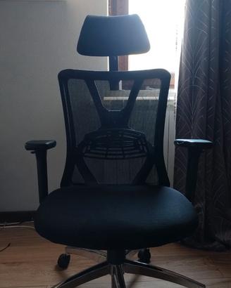 sedia a la spezia e provincia