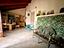 Immagine 12