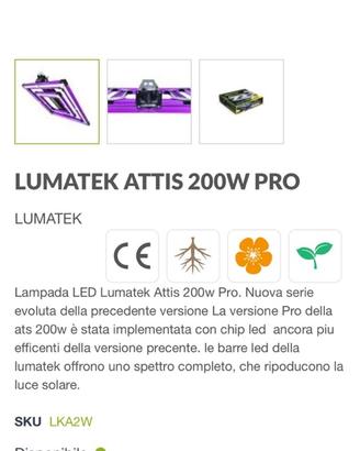 Lampada crescita