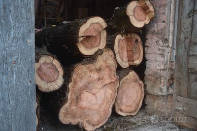 Legno noce e sequoia europea