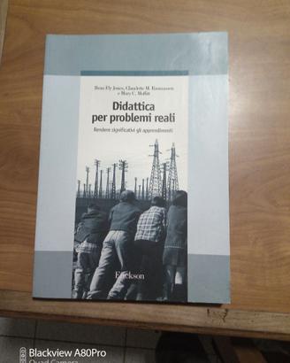 Didattica per problemi reali