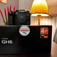 LUMIX GH-6