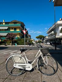 Bicicletta olanda