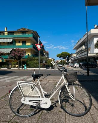 Bicicletta olanda