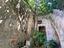 Immagine 26