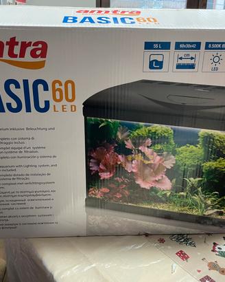 Acquario 60 litri