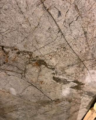 Piastrelle gres porcellanato effetto marmo lucido