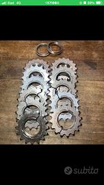 Pignoni Pista miche 16 denti