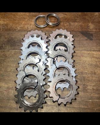 Pignoni Pista miche 16 denti
