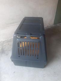 Trasporto per cani di media grandezza