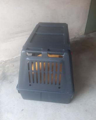 Trasporto per cani di media grandezza