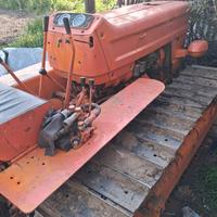 fiat  605c   cingolato 