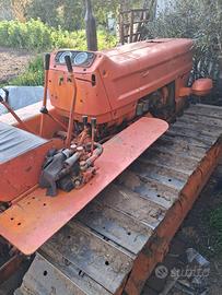 fiat  605c   cingolato 