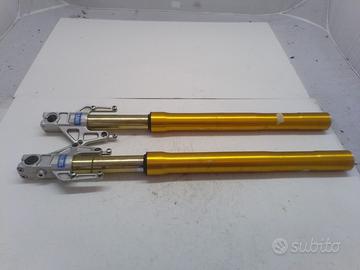 Ducati Multistrada 1100S 06 09 forcelle ohlins