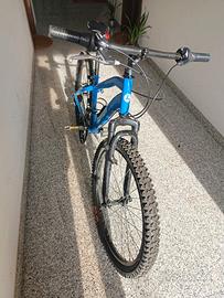 bicicletta 