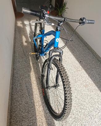 bicicletta 