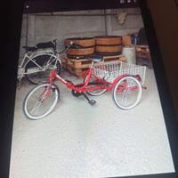 Bicicletta tre ruote