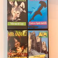3 VHS Vita degli Animali+VHS gratis Monti Pallidi