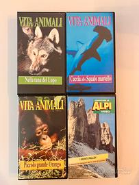 3 VHS Vita degli Animali+VHS gratis Monti Pallidi
