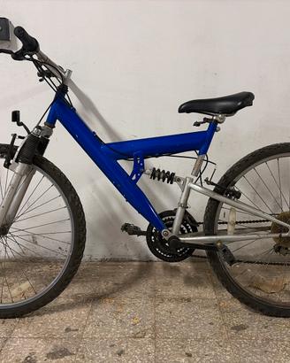 Bicicletta da ragazzo