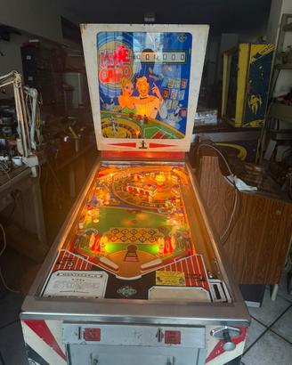 Flipper monte carlo