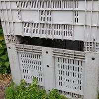 Cassone bins in plastica per raccolta olive meloni