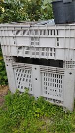 Cassone bins in plastica per raccolta olive meloni