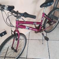 Bici da ragazza