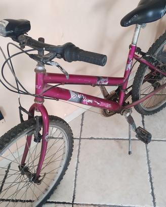 Bici da ragazza