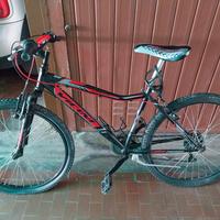 montain bike Vicini 24"