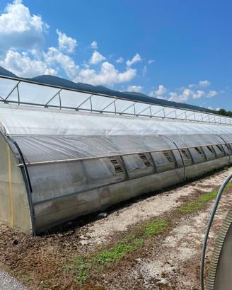 Tunnel serra AGRIMEC 8x30m piede curvo