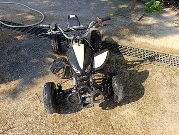Mini quad