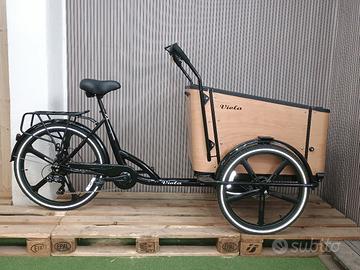 Cargo Bike Sun 4 posti 36v 250w