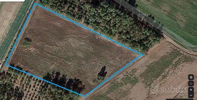 Terreni agricoli in loc. Santa Chiara