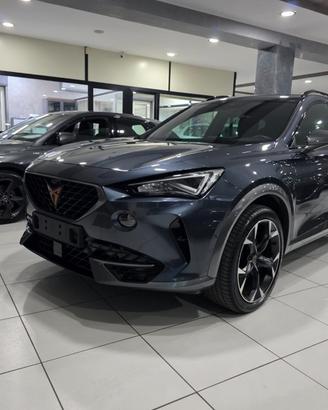 CUPRA Formentor 2.0 TDI 150CV 4Drive DSG Navi -