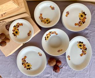 Servizio 18 pz Tognana anni 70