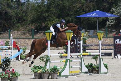 Cavallo Nugget KWPN 2018 | 1° posto Austria 115 cm