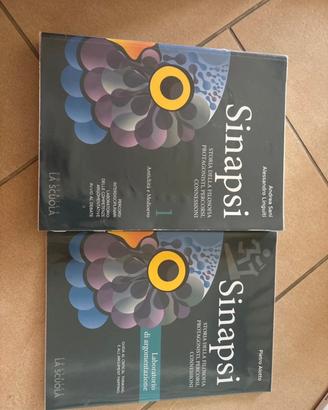 Sinapsi 1 + Laboratorio di argomentazione