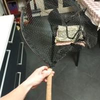 guadino  torrente 38x48 cm