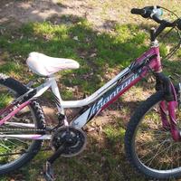 MTB Montana Escape