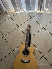 Chitarra Acustica Bryce + Custodia Morbida Eko