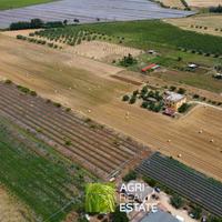 Aprilia (LT) - Terreno 4 HA con pozzo | TR414