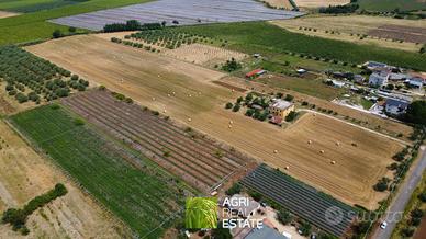 Aprilia (LT) - Terreno 4 HA con pozzo | TR414