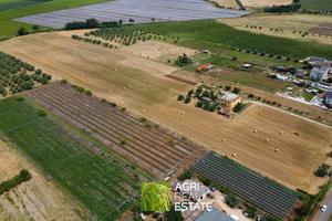 Aprilia (LT) - Terreno 4 HA con pozzo | TR414