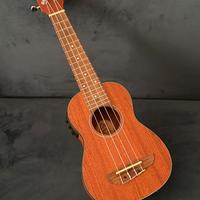 Ukulele Eko amplificabile