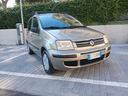 fiat-panda-1-1-actual