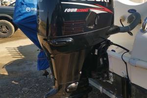 Fuoribordo suzzuki df 115 cv