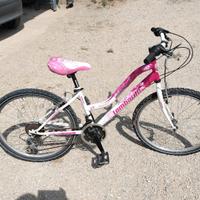 Mountain bike MTB bicicletta lombardo 24" rosa