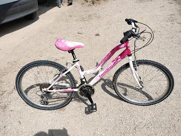 Mountain bike MTB bicicletta lombardo 24" rosa